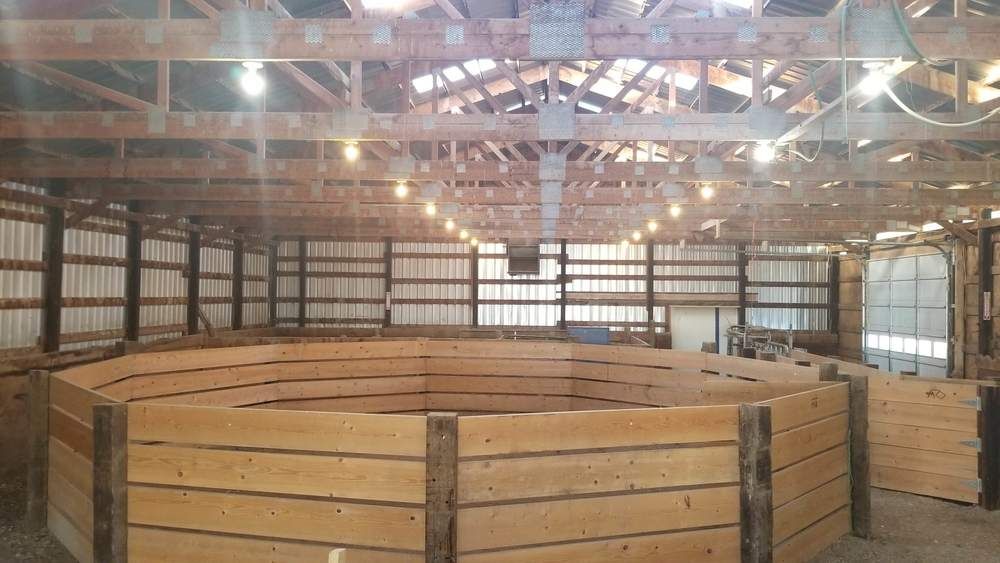 Montana Dream Property With Unlimited Options on 48+ Acres In Sidney: 12353 County Rd 348, Sidney, MT 59270